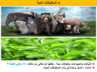 علوم رابع ابتدائي-الفصل الدراسي الأول