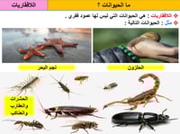 علوم خامس ابتدائي-الفصل الدراسي الأول