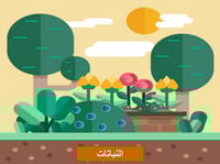 علوم خامس ابتدائي-الفصل الدراسي الأول