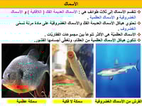 علوم رابع ابتدائي-الفصل الدراسي الأول