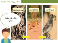 علوم ثالث ابتدائي-الفصل الدراسي الأول