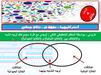 علوم رابع ابتدائي-الفصل الدراسي الأول