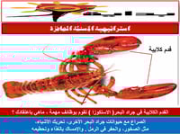 أحياء 1 اول ثانوي