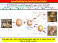 علوم ثالث متوسط-الفصل الدراسي الأول