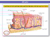 علوم ثاني متوسط-الفصل الدراسي الثاني
