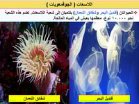 أحياء 1 اول ثانوي