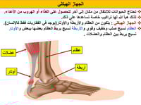 علوم سادس ابتدائي-الفصل الدراسي الأول