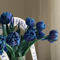 فازة توليب أزرق