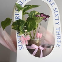 البكج الوردي