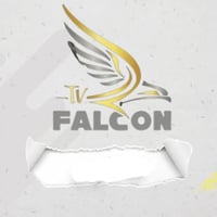 اشتراك فالكون برو لمده يوم