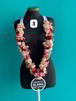 عقد التخرج بالاسم