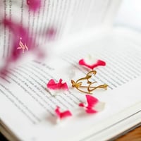 برش الفراشة الانيق