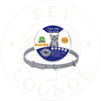 طوق حشرات للحيوانات الاليفة