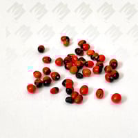 عين العفريت (الحبة الحمراء)