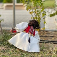 فستان يوم التأسيس