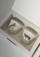 بوكس فنجالين