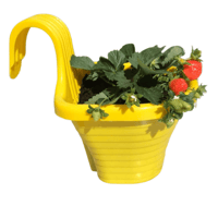 مركن علاقي لشته واحدة لون أصفر