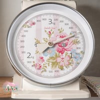 0766 ميزان ريترو معدني أنيق من إزابيل روز 3kg (كري...