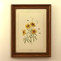 لوحة الزهور