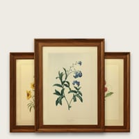 لوحة الزهور