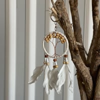 ميدالية صائدة الأحلام