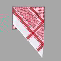 بكــــــــــــــــج الكلاسيكـــــــــــــي