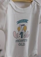 طقم 12 بربتوز للمواليد مزين بأسماء الأشهر