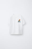 Zara Boy T-shirt