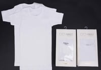 فوانيل ولادي