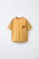 Zara Boy T-shirt