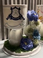 شكل 15