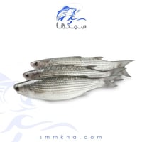 سمك بوري طازج - السعر للكيلو