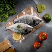 سمك دنيس طازج - السعر للكيلو