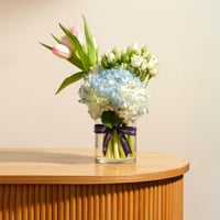 باقة الوان الباستيل