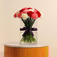 باقة الكارنشين الملونة