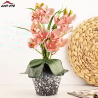 فازة زهور الجرس وردي