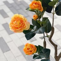 فازة زهور برتقالي