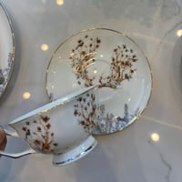 تشكيلة الغزال البري