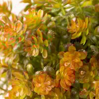 فازة زهور برتقالي