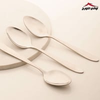 طقم ملاعق حلا ستانلس استيل فضي