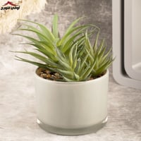 فازة زهور رمادي