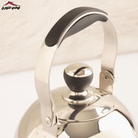 غوري ستيل الفهد