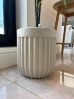 شجرة مع الحوض