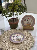 كولكشن ضياء