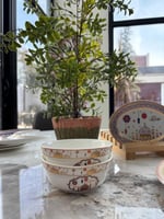 كولكشن ضياء