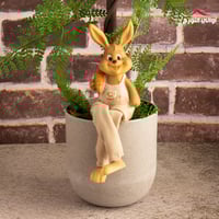 مجسم أرنب بأرجل قماش بالحبة