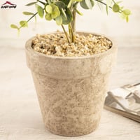 فازة شجرة الزيتون