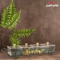 طقم تقديم شكل عربة أخضر مذهب