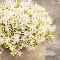 فازة زهور دائري أبيض