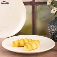 صحن ملامين لارين بيج مرخم